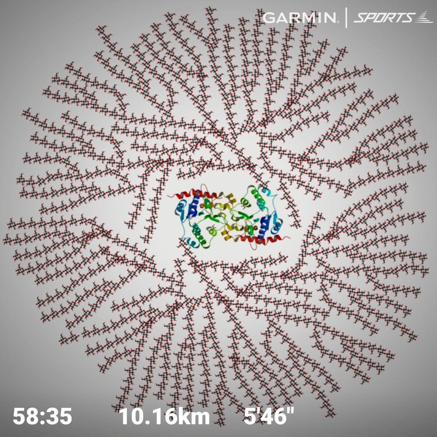 大阪道頓堀跑跑人與肌肉備用糖，固力果名字的冷知識