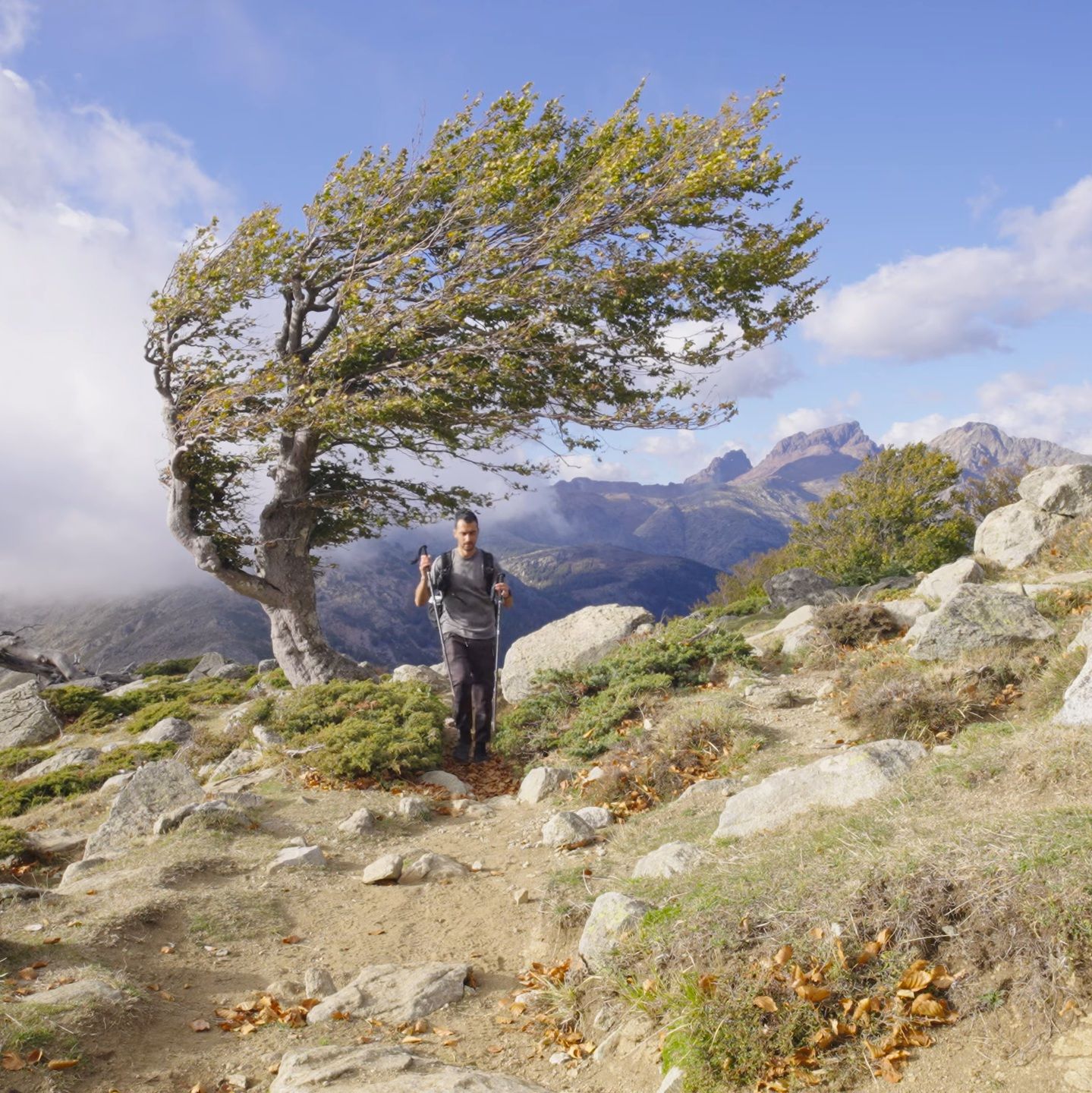 沒原則的錢賺得快，但最後都要還：在喧嘩時代，細水長流的選擇