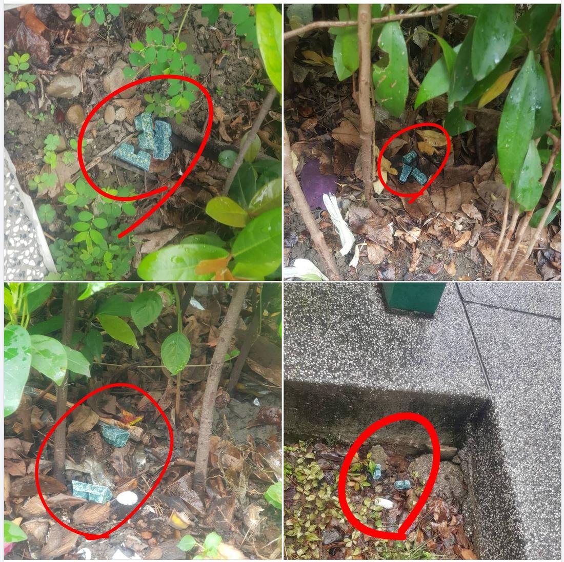 台北市公園、人行道散落的第二代抗凝血劑（SGAR）老鼠藥蠟塊