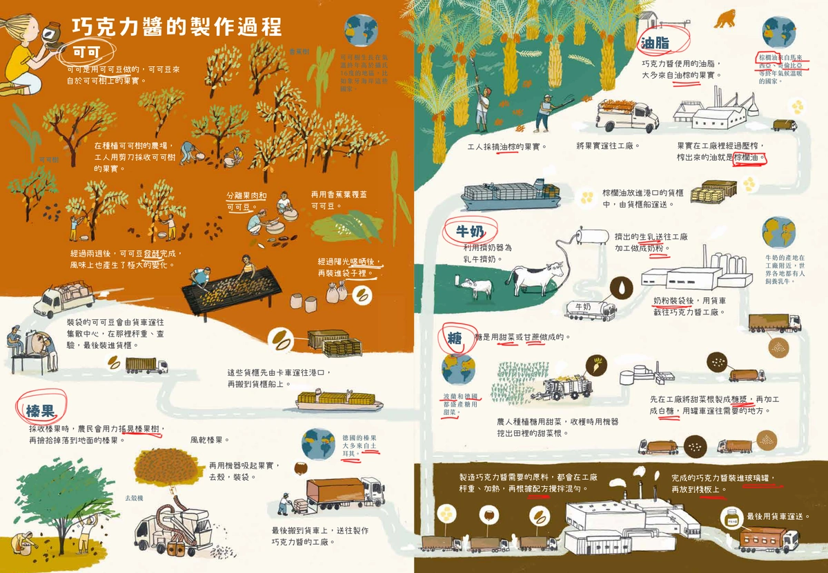 《東西從哪裡來？》內頁跨頁「巧克力醬的製作過程」，畫出可可、榛果、油脂、牛奶、糖從農場採收、工廠加工到裝罐運送的流程